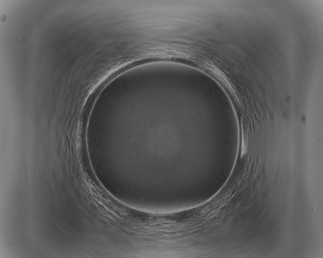 X0000085270387200703231746