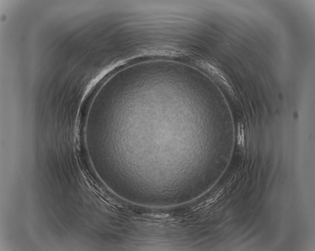 X0000085270388200703231746