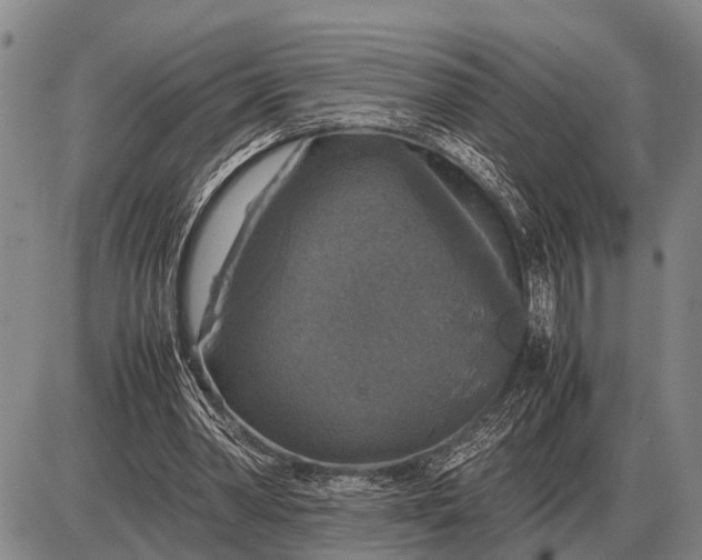 X0000085270390200703231746