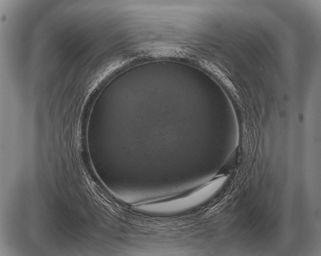 X0000085270391200703231746