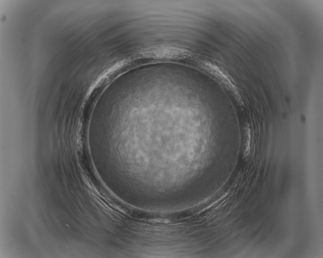 X0000085270392200703231746