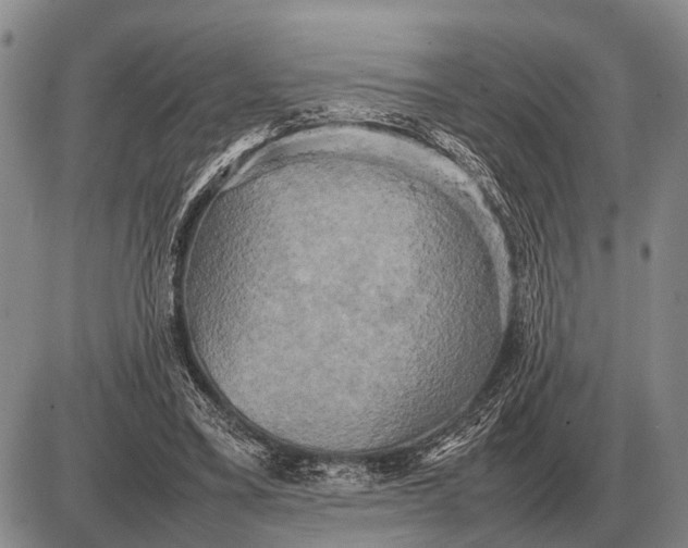 X0000085270395200703231746