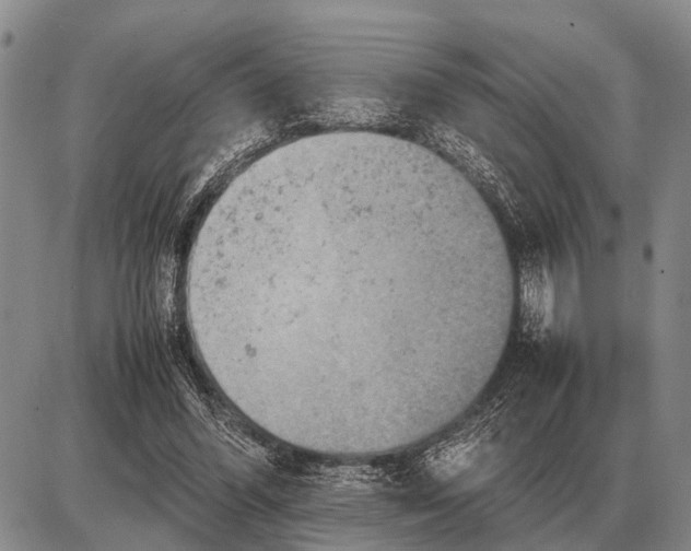 X0000085270396200703231746