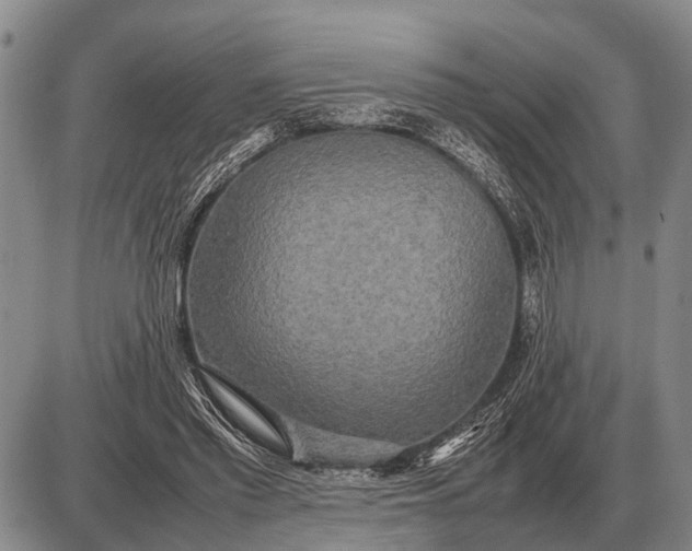 X0000085270397200703231746