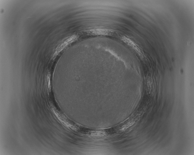 X0000085270398200703231746