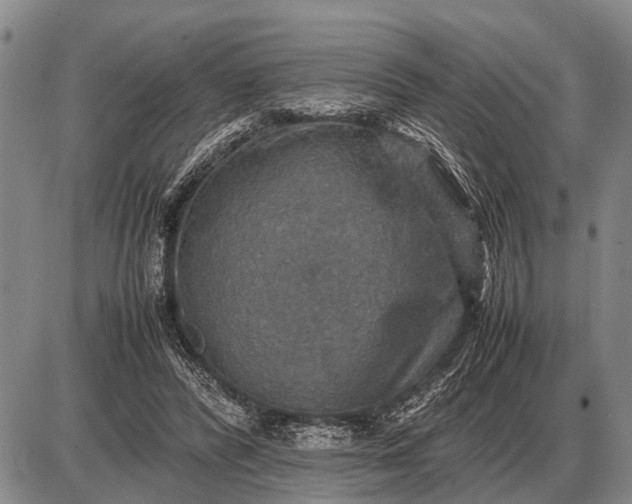 X0000085270400200703231746