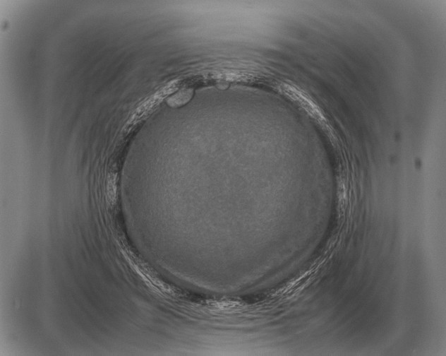 X0000085270401200703231746