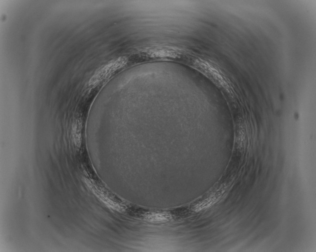 X0000085270402200703231746