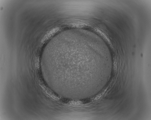 X0000085270403200703231746