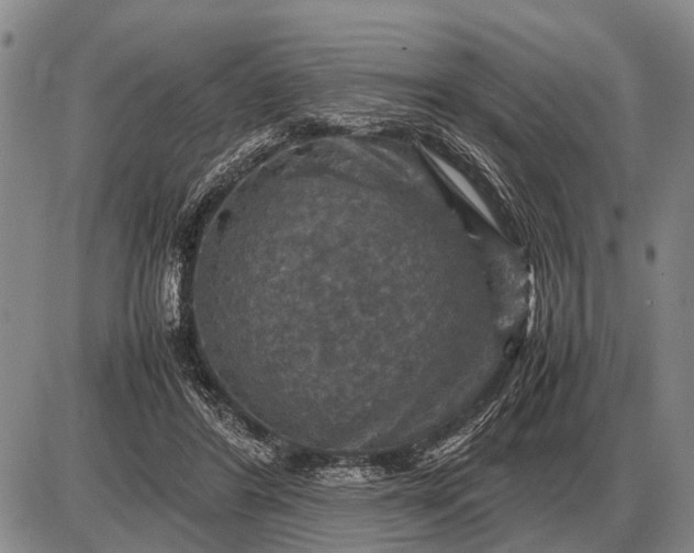 X0000085270404200703231746