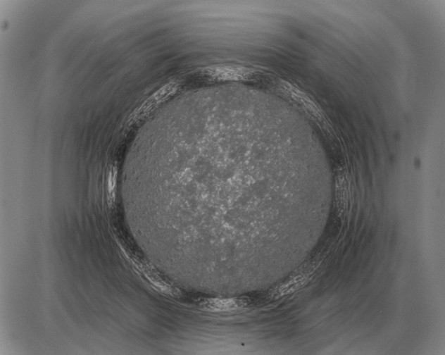 X0000085270406200703231746