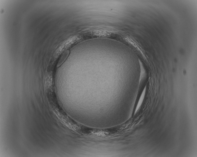 X0000085270407200703231746