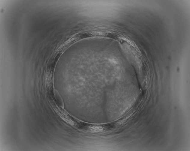 X0000085270409200703231746