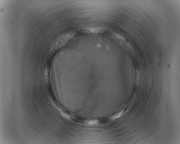 X0000085270410200703231746