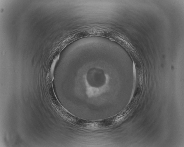 X0000085270411200703231746