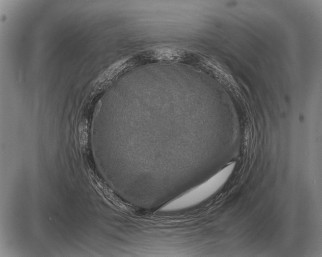 X0000085270413200703231746