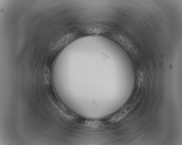 X0000085270414200703231746