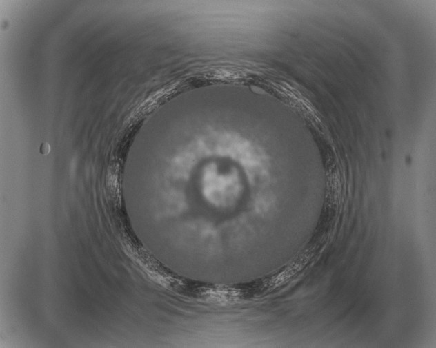 X0000085270415200703231746