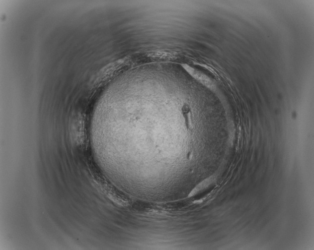 X0000085270416200703231746