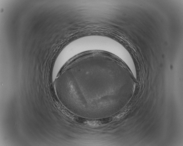 X0000085270417200703231746