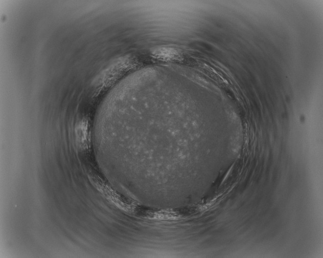 X0000085270420200703231746