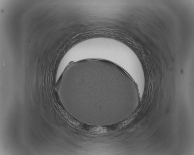 X0000085270421200703231746