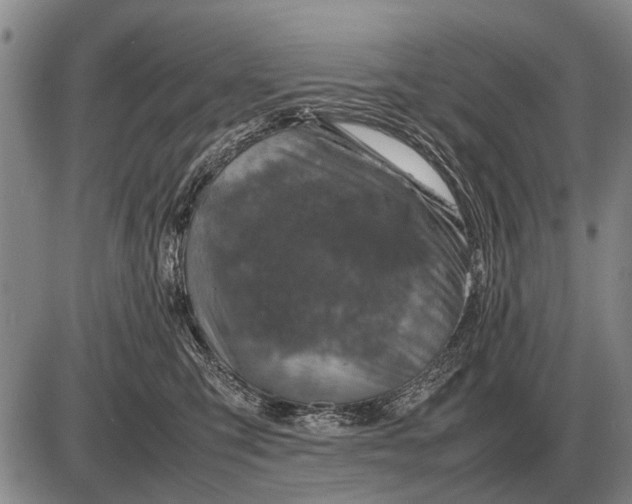 X0000085270423200703231746