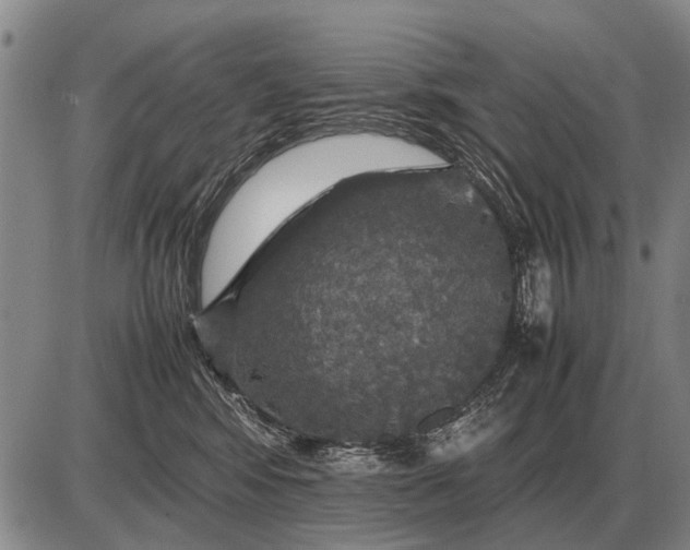 X0000085270424200703231746