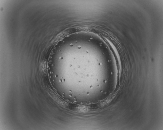 X0000085270425200703231746