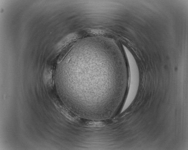 X0000085270428200703231746