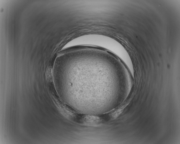 X0000085270429200703231746