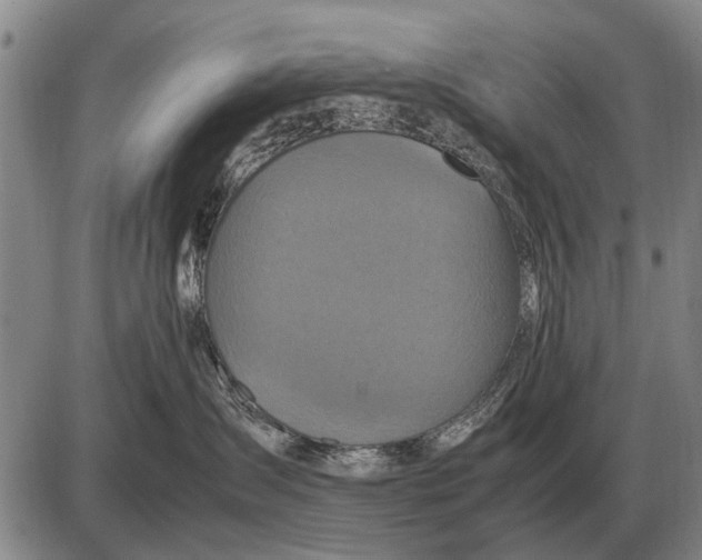 X0000085270431200703231746