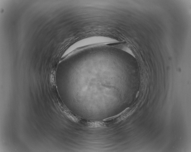 X0000085270432200703231745