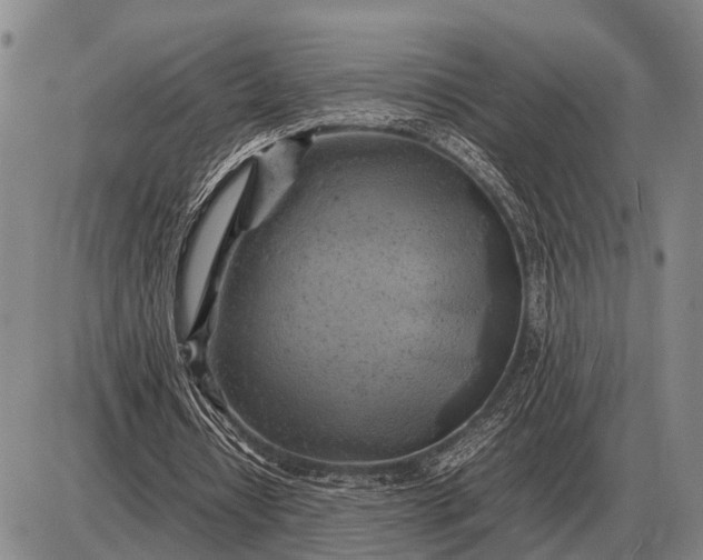 X0000085270434200703231745