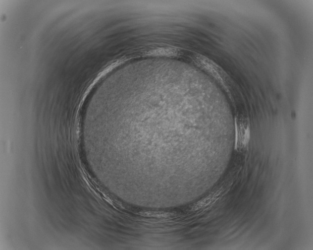 X0000085270435200703231745