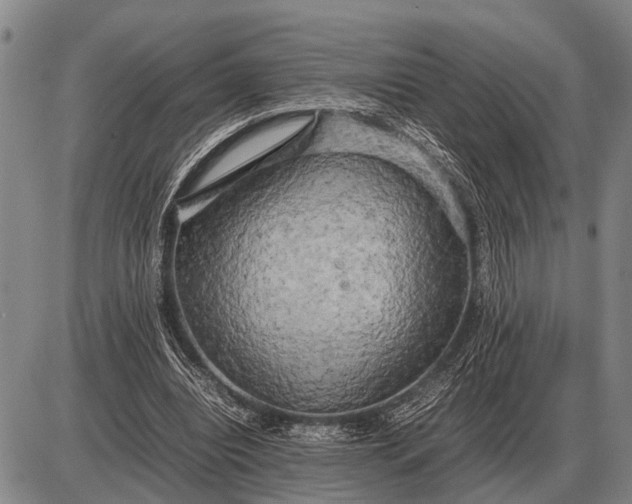 X0000085270440200703231745