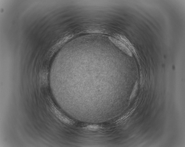 X0000085270441200703231745