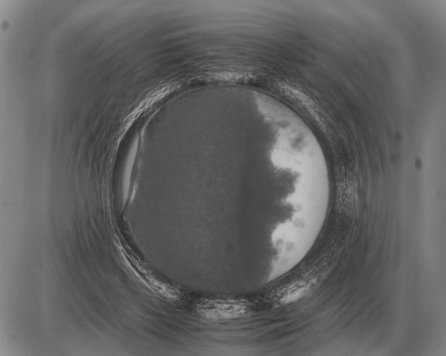 X0000085270443200703231745