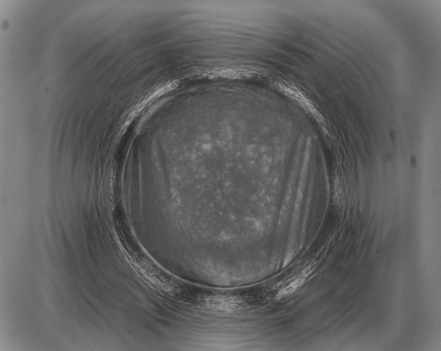 X0000085270444200703231745