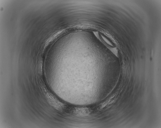 X0000085270446200703231745