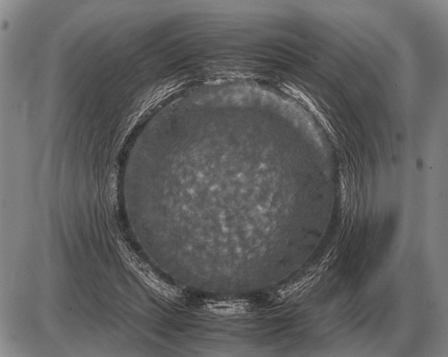 X0000085270447200703231745