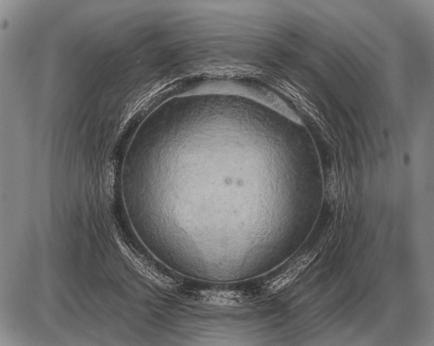 X0000085270448200703231745