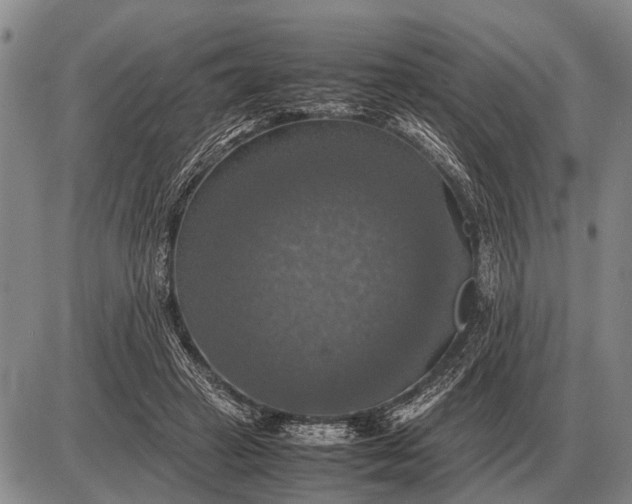 X0000085270449200703231745