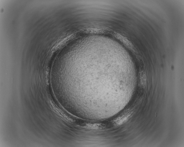 X0000085270450200703231745