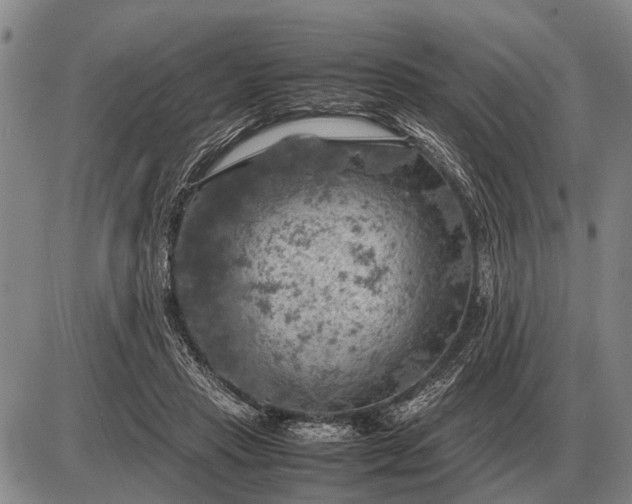 X0000085270453200703231745