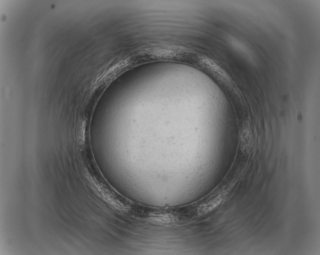 X0000085270454200703231745