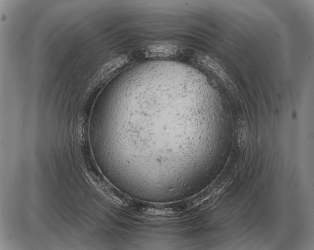 X0000085270455200703231745