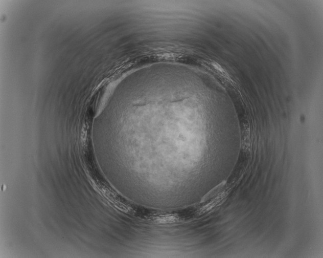 X0000085270456200703231745