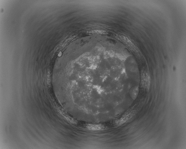 X0000085270457200703231745