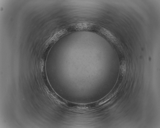 X0000085270458200703231745